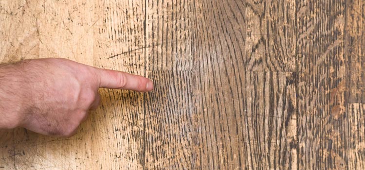 Wood Door Scratch Repair in Manhattan Beach